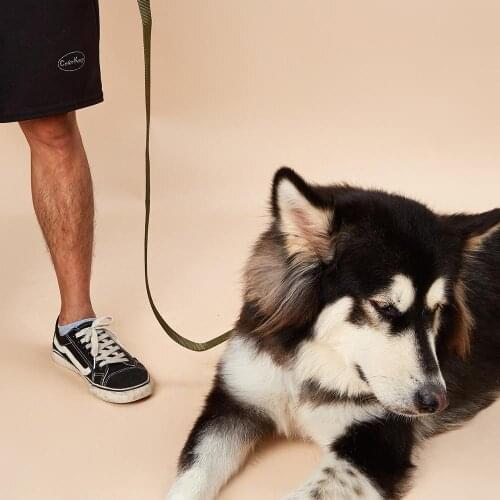 Reflective Dog Leash Durable Nylon Dog Leash With Soft Material Handle for Walking ,Running and Trining