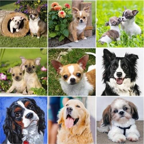DIY 5D Diamond Painting Dog Diamond Embroidery Animal Cross Stitch Rhinestone Picture Mosaic Paintings Wall Sticker Decor