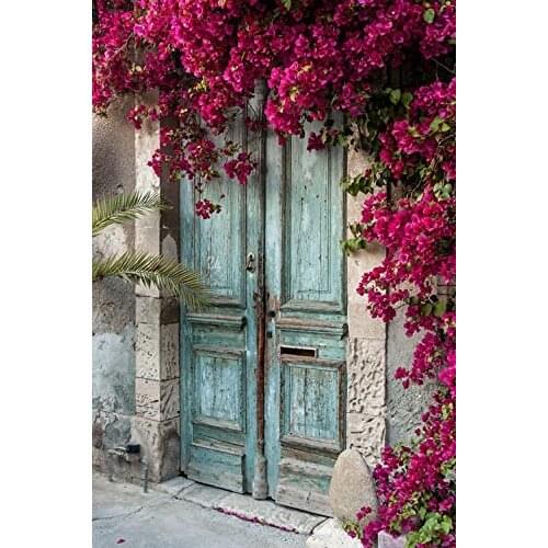 5x7ft background Printed Photography white wood wooden weathered door bright-colored flower