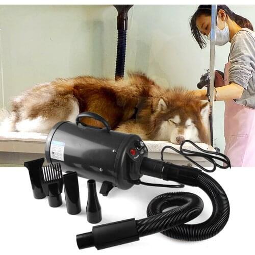 2800W Power Hair Dryer For Dogs Pet Dog Cat Grooming Blower Warm Wind Secador Fast Blow-dryer For Small Medium Large Dog Dryer