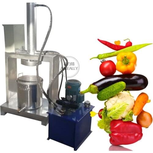 Commercial Grape Fruit and Vegetable Hydraulic Cold Press Juicer Machine Orange Extractor Stainless Steel Automatic