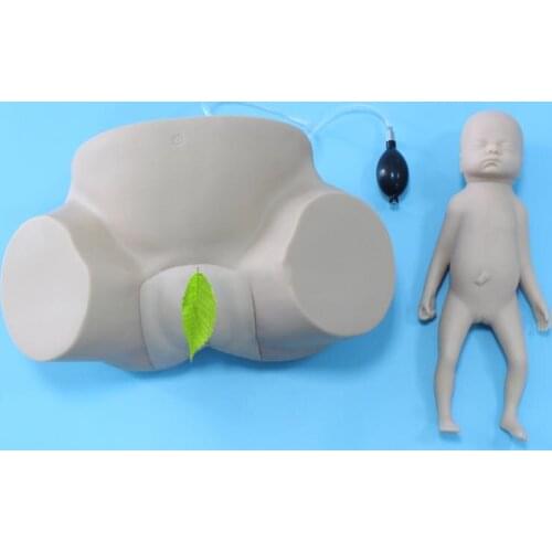 BIX-F8A Advanced Dystocia Teaching and Training Model