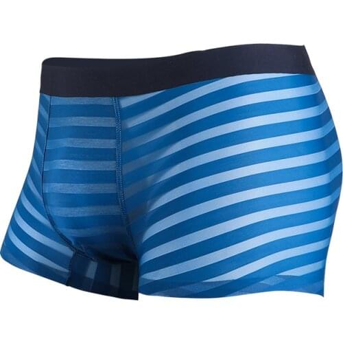 Menss Boxers Sexy Gay Underwear Transparent Ice Silk Panties Man Breathable Pouch Underpants Male Plus Size Boxershorts Hombre