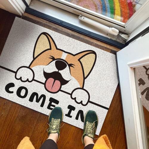 Non-slip Funny Indoor Carpet Doormat Entrance Door Mat for Hallway Living Room Kitchen Bathroom Floor Rug Welcome Mats Footpad