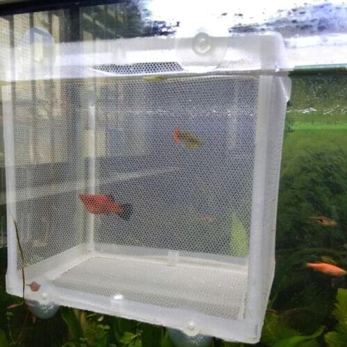 1PCS Aquarium Fish Breeding Isolation Mesh Box Net Incubator Breeder For Fish Tank Aquarium Gauze Trap Aquariums