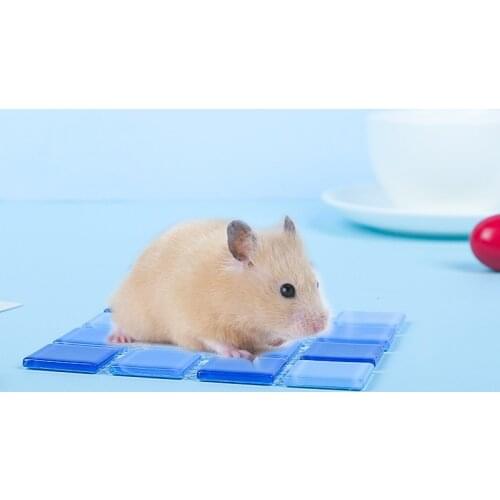 Glass Stone Hamster Cooling Pad Summer Rabbit Rat Mouse Guinea Pig Hedgehog Squirrel Ice Bed Sleeping Mat
