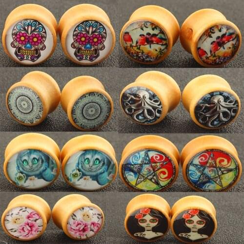 120pcs mix 10 style 6 size Wooden Gauges Wood Ear Tunnels For Women Men Piercing Plugs earrings Stretcher Kit For Ear Body