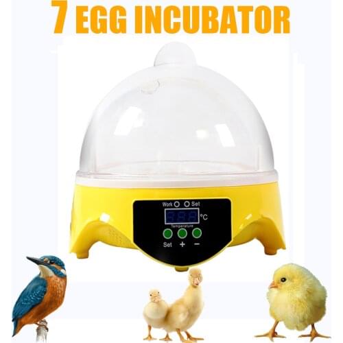 HHD 7 Eggs Incubator Machine 110V/220V Automatic Digital Mini Egg Incubator Adjustable Temperature Hatchery Brooder for Chickens
