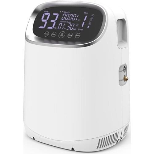Household small smart oxygen generator 2L oxygen machine Portable oxygen inhalation equipment for elderly and pregnant women