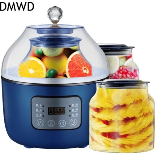 DMWD Multifunctional Household 20W Enzyme/Yogurt/Rice wine/red wine making machine Two liners Fully Automatic ferment maker