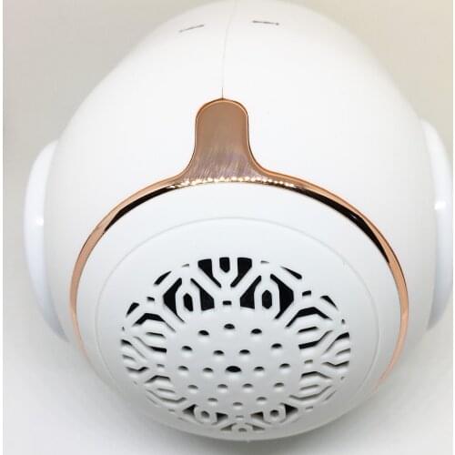 Golden Egg TWS Bluetooth 5.0 Speaker High-End Wireless Speaker Portable Audio & Video Bass Stereo Surround Amplifier