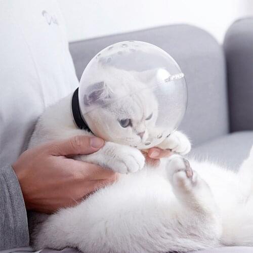 New Cat Muzzle Anti Bite Cat Space Hood Pet Lick Injection Bite Prevention Bath Beauty Travel Tool Mask Headgear Cat Accessories