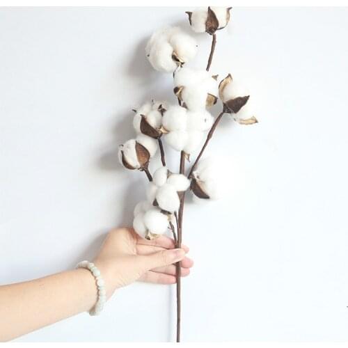 Natural Dried Cotton Flowers Gypsophila White Home Decorative Real Flowers Branch Bridesmaid Bouquet Decor Fake White Flower
