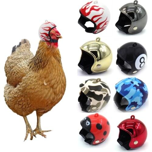 Pet Supplies Chicken Helmet Protective Gear Sun Rain Protection Helmet Toy Bird Hens Small Pet Supplies Costumes Accessories
