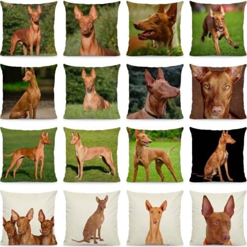 Cute Pharaoh Hound Pillowcase Home Decoration Throw Pillow Covers Dog Pattern Cushion Cover 45x45cm DWG053