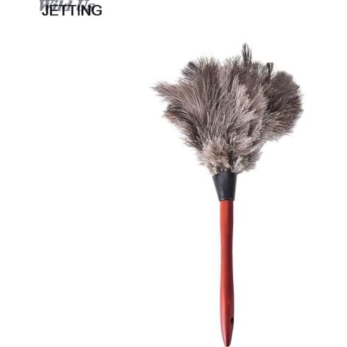 Car Window Cleaning Wood Handle Car Fan Furniture Dust Cleaner Natural Fall Ostrich Fur Feather Anti Static Duster Brush 1 pcs
