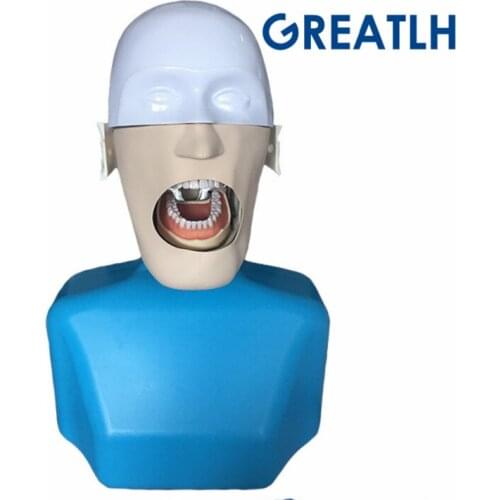 Dental manikins Phantom Head Sennior Simulation Teeth model with Torso for dentist practise teaching model