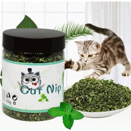 Organic 100% Natural Premium Catnip Cattle Grass 10g/20g/30g Menthol Flavor Funny Cat Toys Pet Healthy Safe Edible Treating