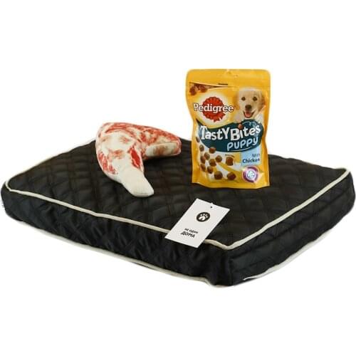 Костюмы для собак Не Один Дома China At AliExpress