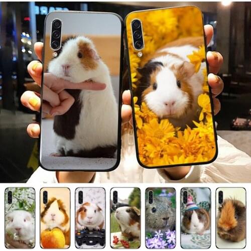 Guinea pig Slim cute little animal Phone Case For Samsung galaxy A S note 10 7 8 9 20 30 31 40 50 51 70 71 21 s ultra plus