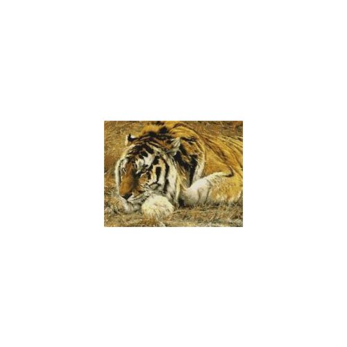 Siberian Tiger Sewing kit Top Quality Embroidery Needlework 14CT Unprinted Art Cross Stitch Kits DIY Handmade Decor