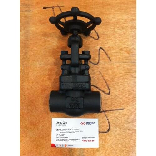ZY A105 Forged Gate Valve 3/4" SW Socket Weld Class800 Bolted Bonnet Gate valve