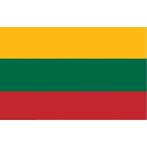 Lithuania Flag Activity Decorative Banner 90x150cm