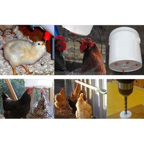 Automatic Chicken Screw In Poultry Water Nipple Drinker Feeder Garden