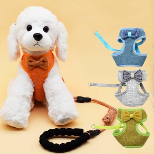 Double-layer Mesh Traction Rope For Pet Butterfly Festival Anti-fracture Mesh Corset Pet Rope Supplies