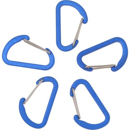 High Quality 5 Piece Outdoor D Ring Carabiner Spring Snap Clip Key Chain Hook Buckle Climbing Caving Hiking Camping Travel