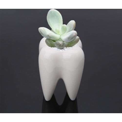 K5DC Tooth Shape Ceramic Flower Pot Green Succulent Planter Cactus Container Decor