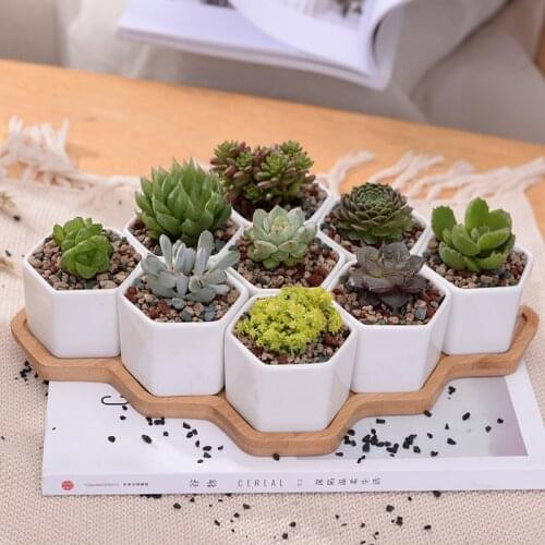 Set of 9 Hexagon Flowerpots White Ceramic Succulent Plant Pot with Bamboo Stand Bonsai Planter Home Decor Ornament
