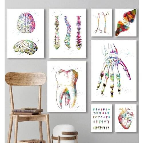 Anatomy Art Human Heart Brain Lung Visual Chart Colorful Nordic Poster Canvas Print Doctors Office Wall Decoration Picture