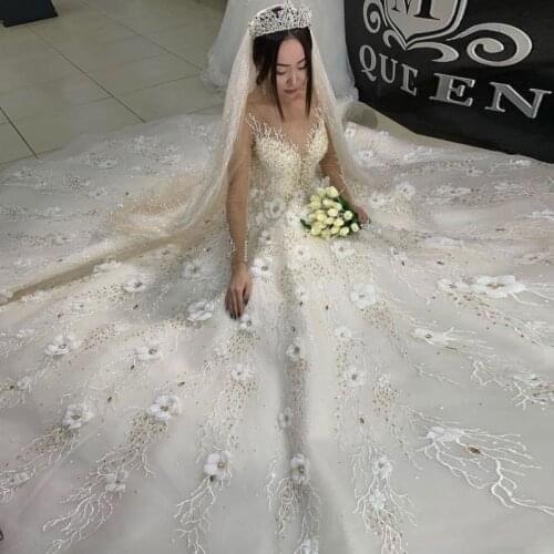 3D Flora Appliques A Line Wedding Dresses Sheer Neck Illusion Long Sleeves Lace Appliques Beaded Bridal Gowns Vestido De Novia