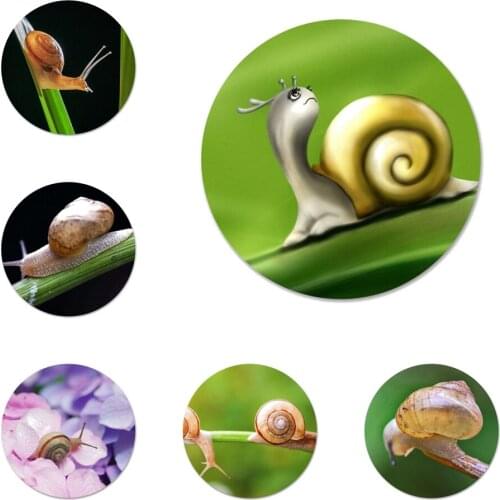 58mm insect Snails Icons Pins Badge Decoration Brooches Metal Badges For Clothes Backpack Decoration