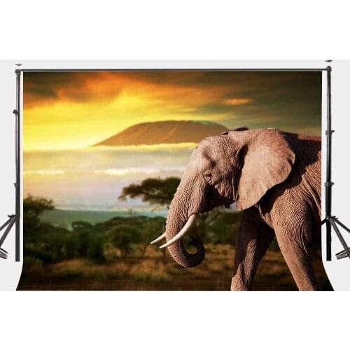 Dusk Grassland Background Old Elephant Natural Scenery Children Photo Studio Backdrop 150x220cm Photography Backdrops Wall