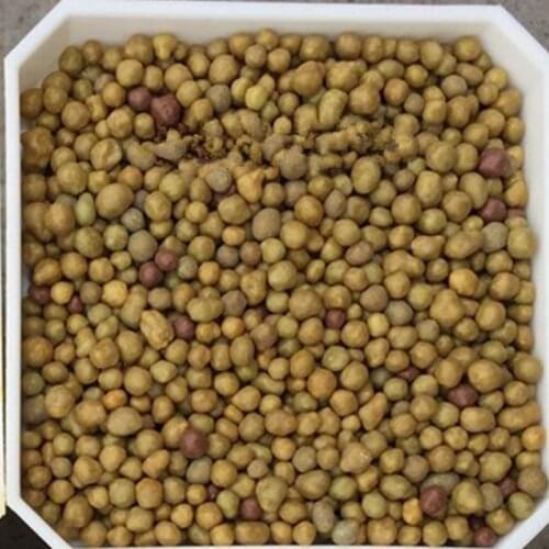 500g Osmocote Japanese Slow-release Orchid Succulent Plant Meaty Plants Granular NPK Fertilizer