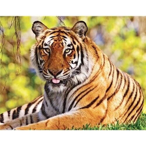 Tiger animal DIY Crystal full plastic diamond painting embroidery machine glue cross stitch kit art 3D mosaic square rhinestone
