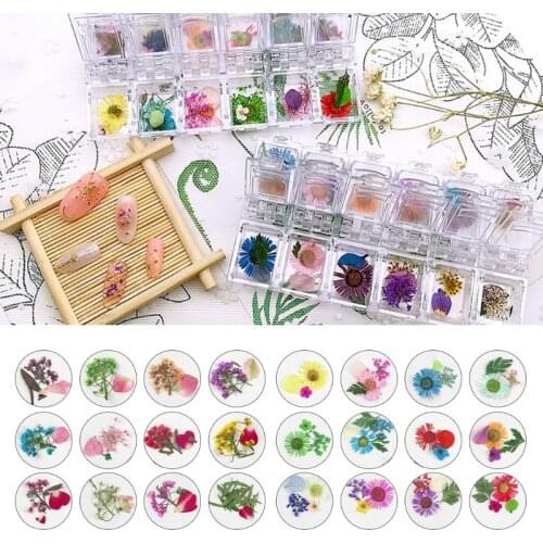 12Grid/Box Crystal Epoxy Filler Dry Flower Mixed Nail Stickers Decorations Resin Filling Material Craft Art Jewelry Making DIY A