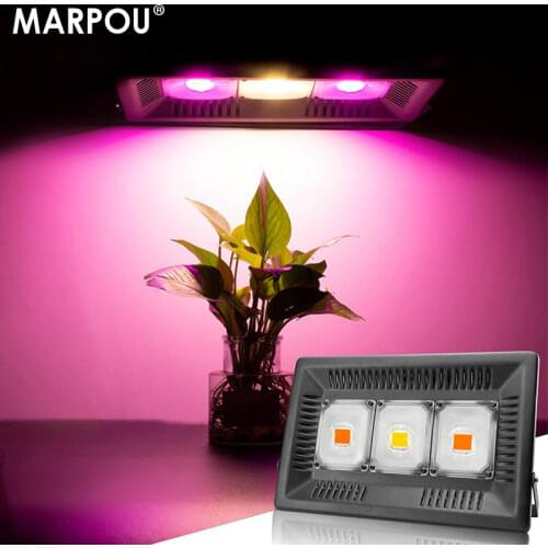 MARPOU Plant Lamps