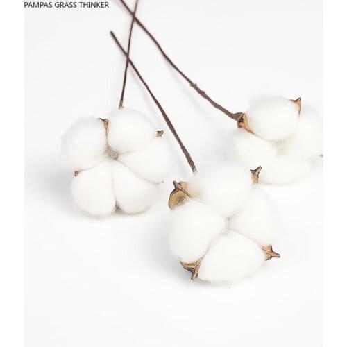5 Stems Cotton Flower Dried Cotton Stems Farmhouse Naturally Artificial Flower Picks Natural Cotton Balls Free Shipping