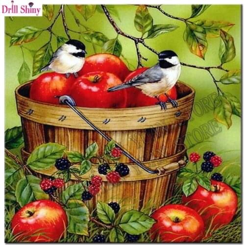 3D DIY diamond Painting apple and bird Hobbies and Crafts needlework diamond mosaic pictures rhinestones embroidery Home Decor