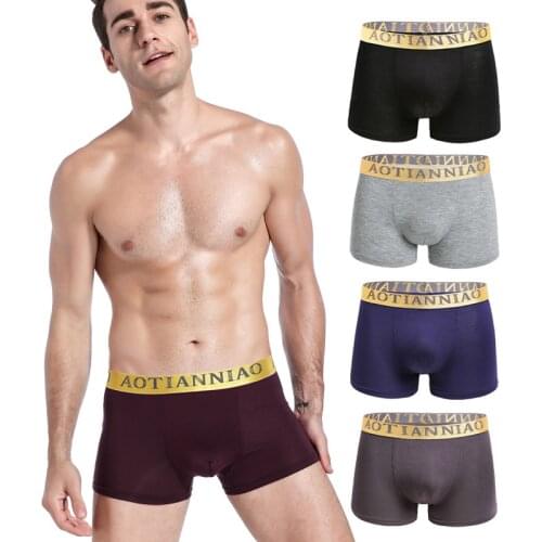 4 Pcs Fashion Male Boxer Briefs Large Size Underpants Modal Mens Sexy Underwear Boys Student Undies Men Homme Big Undershorts