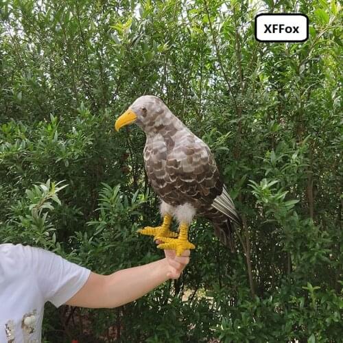 Big simulation eagle model foam&feather gray eagle bird toy gift about 50cm xf1052