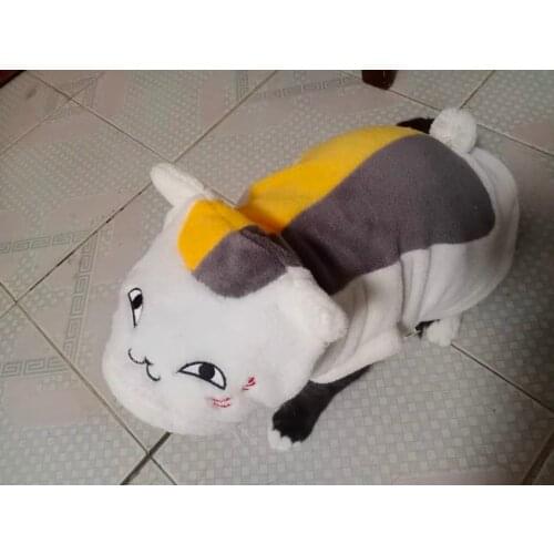 Pet Costume Halloween Dog Hoodie Cat Hoodie Teacher Clothes Kitten Coat Coral Fleece Cartoon Autumn Winter Dog Costume
