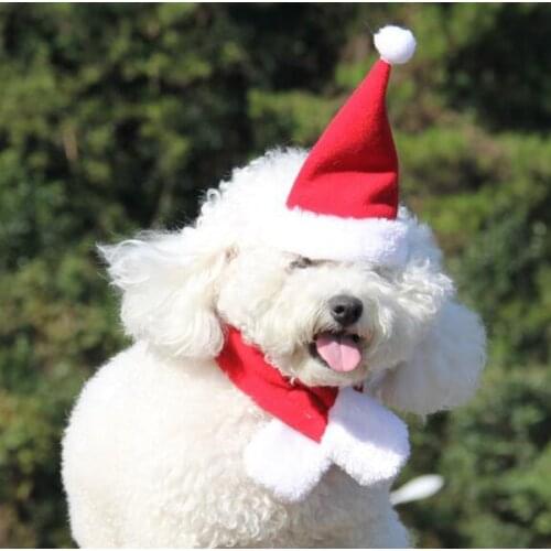 Fashion pet dog cat Christmas costume hat + scarf set doggy grooming featival gift puppy accessories dogs cats hats scarves