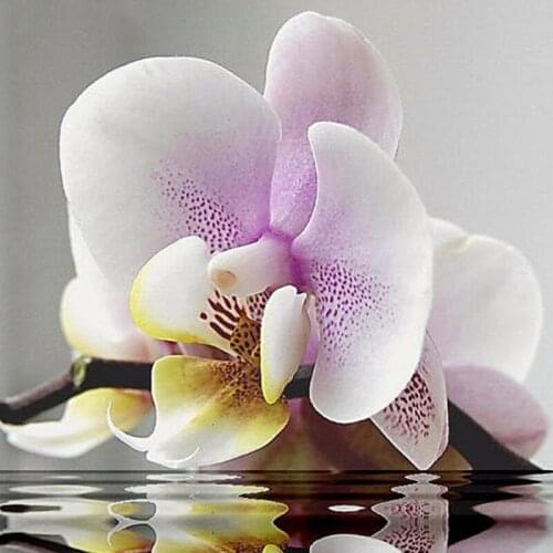 5D Diamond Painting Butterfly Orchid Cross Stitch Diamond Embroidery Full Square Diamond Mosaic Picture Of Christmas Decoration