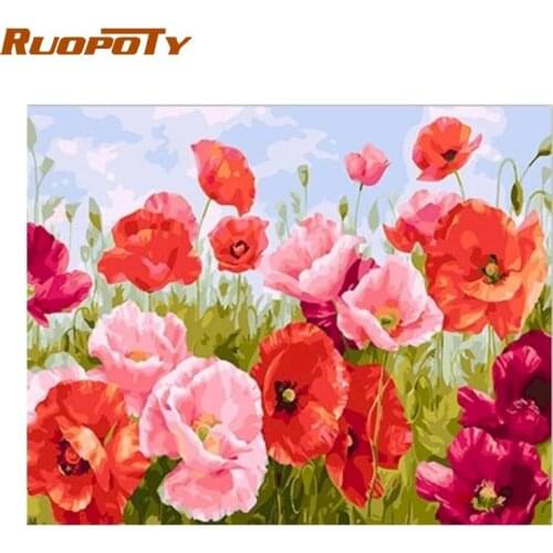Corn poppy Frameless Diy Painting By Numbers Flowers Wall Art Picture By Numbers Calligraphy Painting