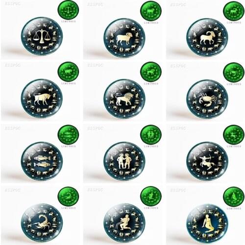 5pcs/set12 Constellation Taurus Pisces Aries Leo Zodiac Signs Round Luminous Glass Dome Making Jewelry Man Woman Gift