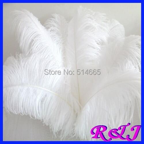 EMS Free shipping Cheap ostrich feather 50pcs 22-24inch 55-60cm Hot pink / Fushia Ostrich plumage ostrich plume